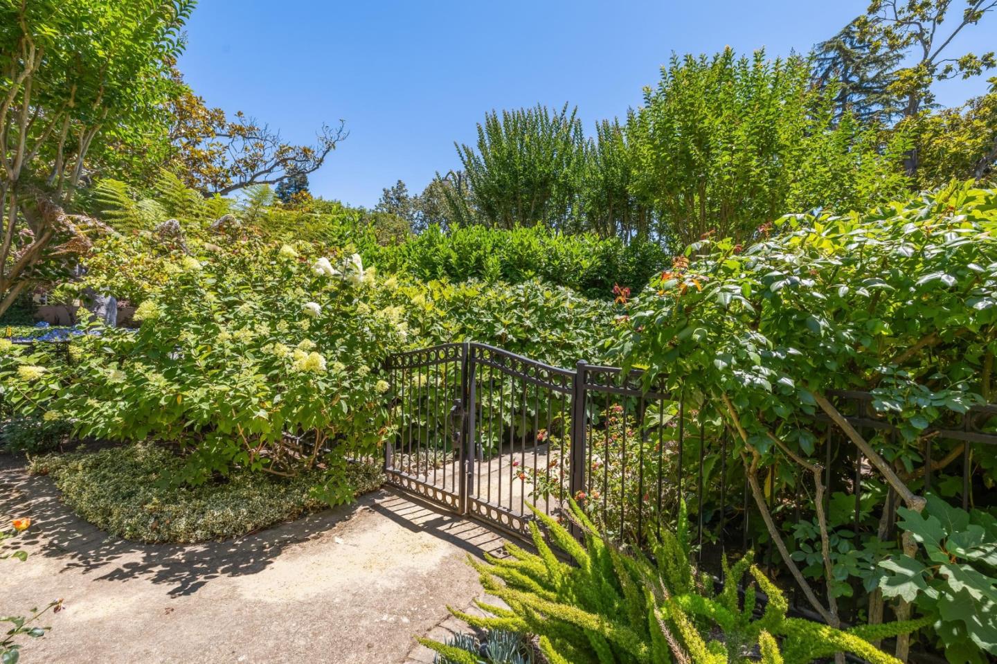 Detail Gallery Image 7 of 151 For 590 Center Dr, Palo Alto,  CA 94301 - 5 Beds | 3 Baths