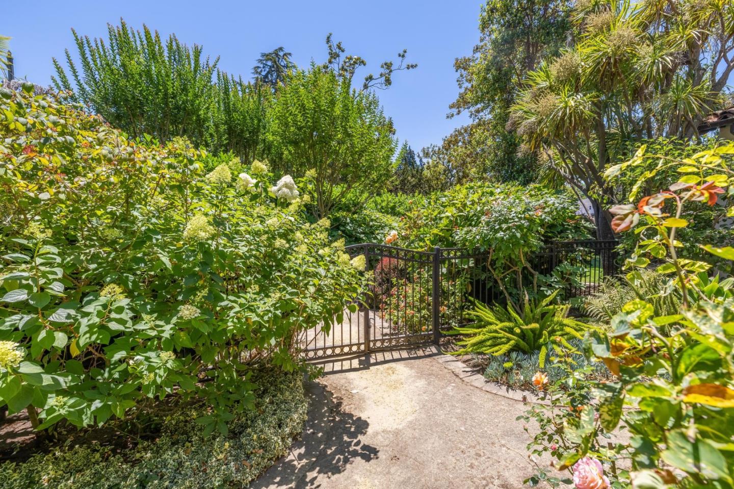 Detail Gallery Image 8 of 151 For 590 Center Dr, Palo Alto,  CA 94301 - 5 Beds | 3 Baths