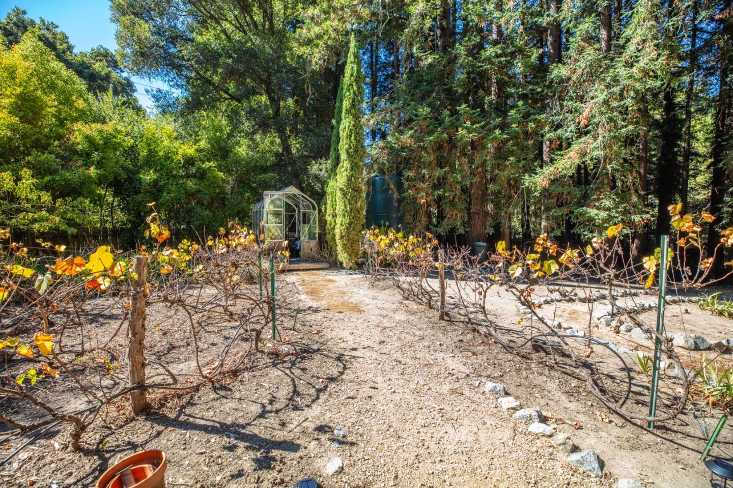 Detail Gallery Image 61 of 82 For 4600 Trout Gulch Rd, Aptos,  CA 95003 - 2 Beds | 2 Baths