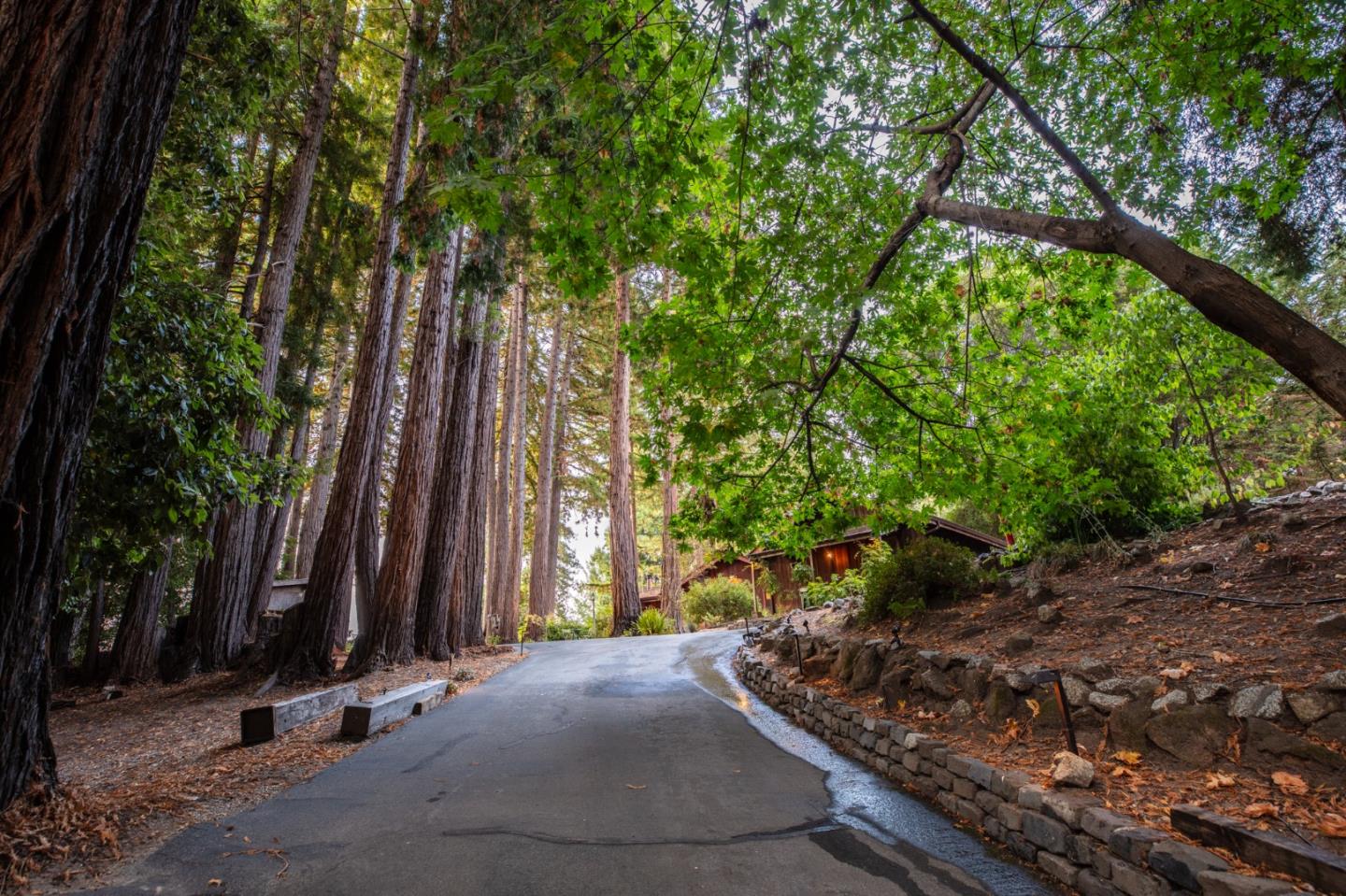 Detail Gallery Image 77 of 82 For 4600 Trout Gulch Rd, Aptos,  CA 95003 - 2 Beds | 2 Baths