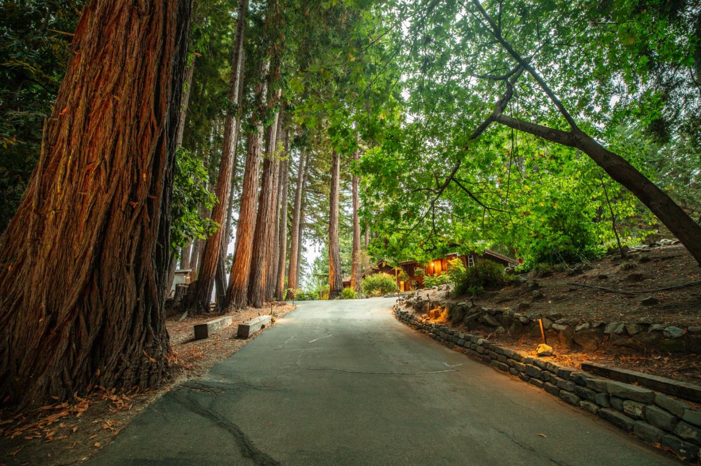 Detail Gallery Image 78 of 82 For 4600 Trout Gulch Rd, Aptos,  CA 95003 - 2 Beds | 2 Baths