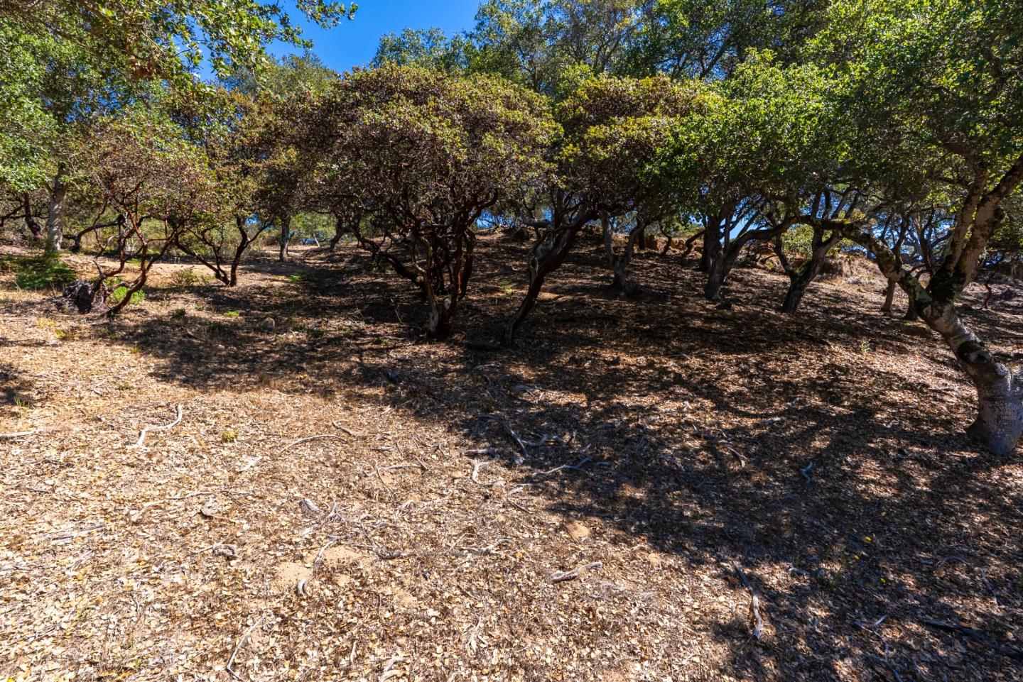 Detail Gallery Image 60 of 64 For 1935 Caterina Way, Royal Oaks,  CA 95076 - 3 Beds | 2/1 Baths