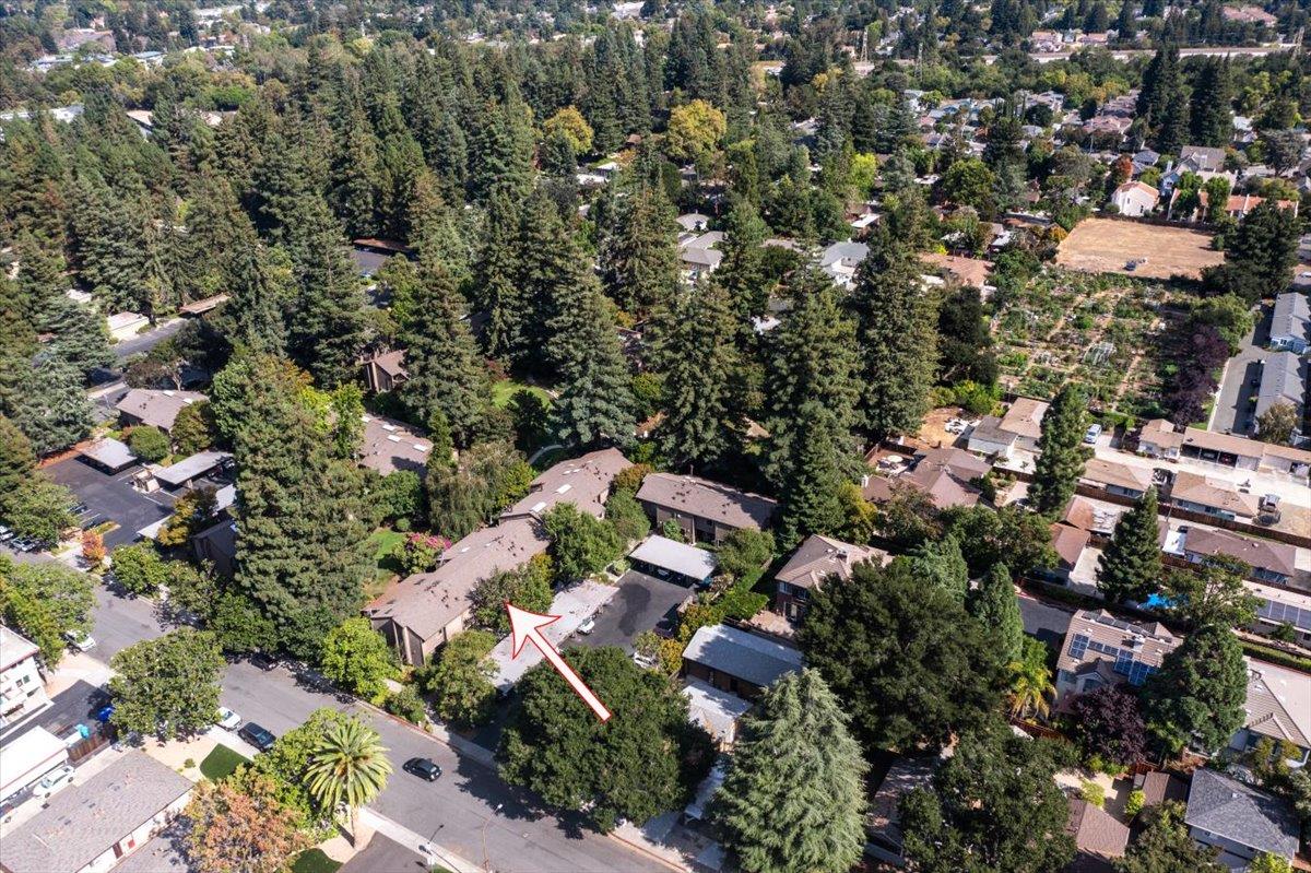 Detail Gallery Image 43 of 49 For 219 Horizon Ave, Mountain View,  CA 94043 - 3 Beds | 2 Baths