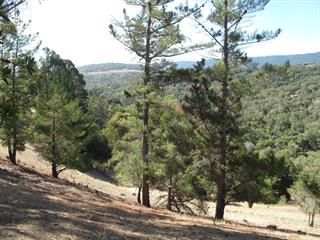 Detail Gallery Image 20 of 21 For 3295 La Mesa Dr #7,  San Carlos,  CA 94070 - 1 Beds | 1 Baths