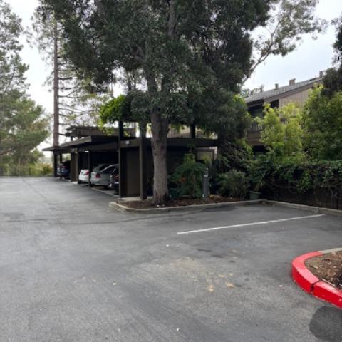 Detail Gallery Image 21 of 21 For 3295 La Mesa Dr #7,  San Carlos,  CA 94070 - 1 Beds | 1 Baths