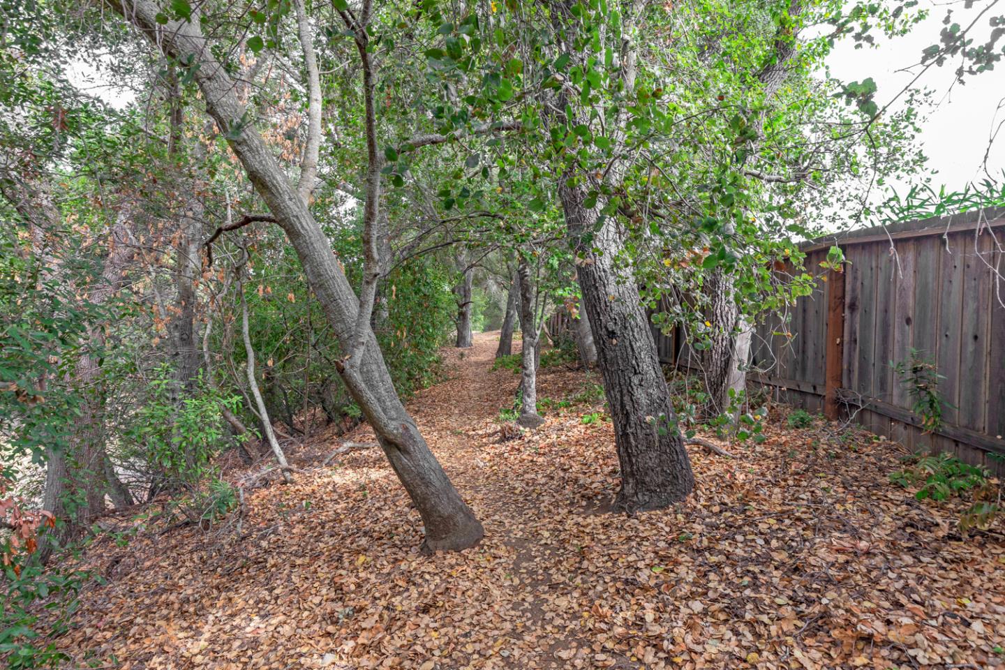 Detail Gallery Image 46 of 48 For 10961 Kester Dr, Cupertino,  CA 95014 - 2 Beds | 2 Baths