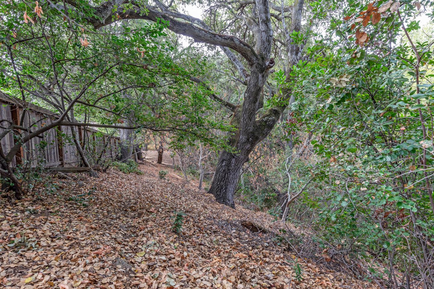 Detail Gallery Image 47 of 48 For 10961 Kester Dr, Cupertino,  CA 95014 - 2 Beds | 2 Baths