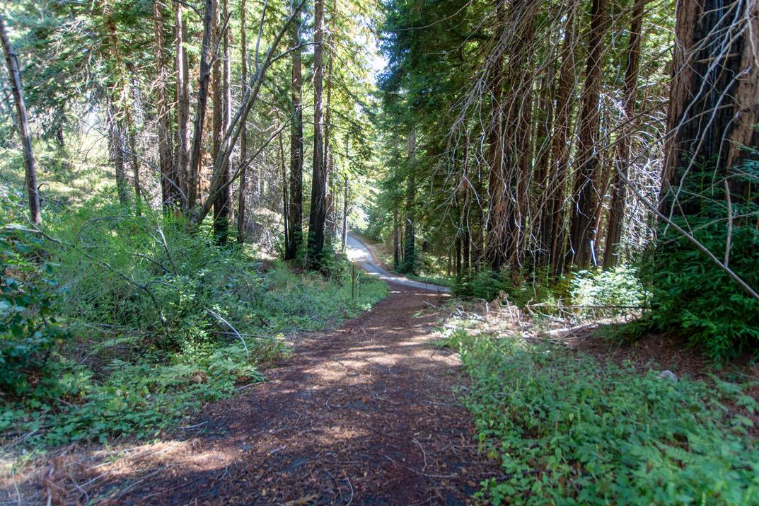 Detail Gallery Image 12 of 28 For 19145 Big Basin Way, Boulder Creek,  CA 95006 - – Beds | – Baths