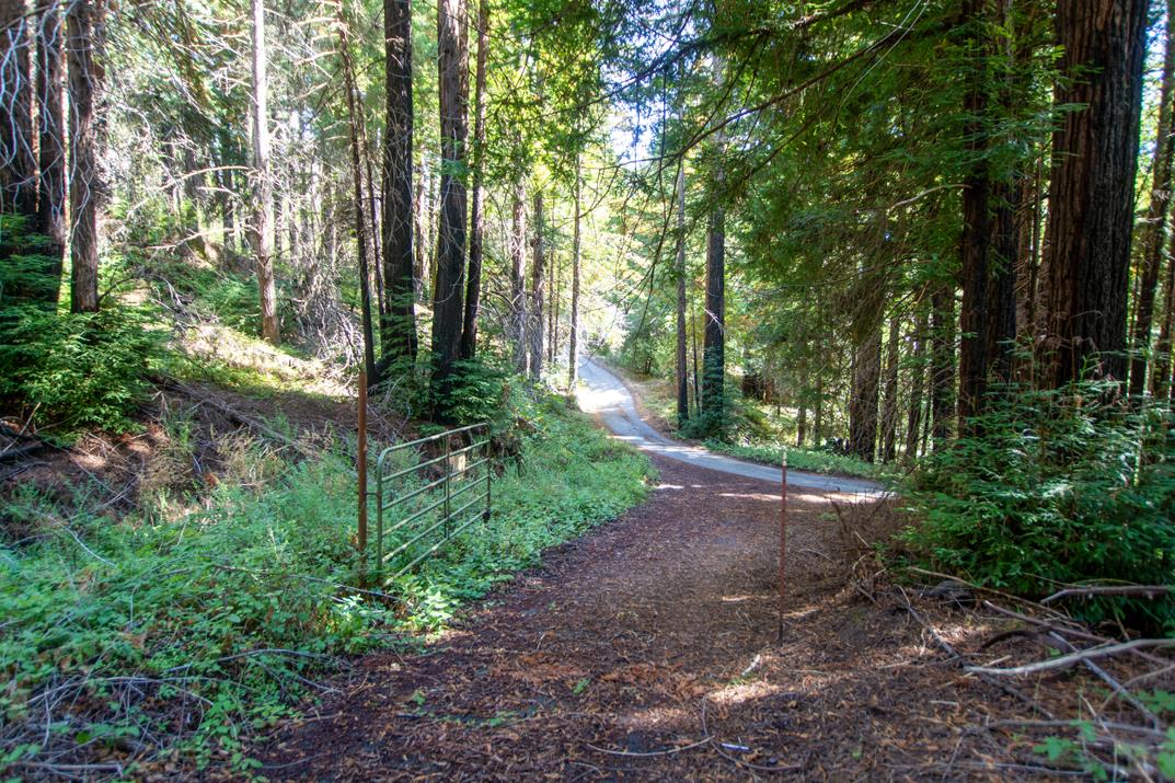 Detail Gallery Image 13 of 28 For 19145 Big Basin Way, Boulder Creek,  CA 95006 - – Beds | – Baths