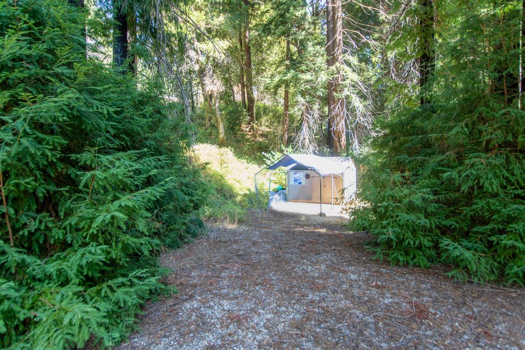 Detail Gallery Image 14 of 28 For 19145 Big Basin Way, Boulder Creek,  CA 95006 - – Beds | – Baths