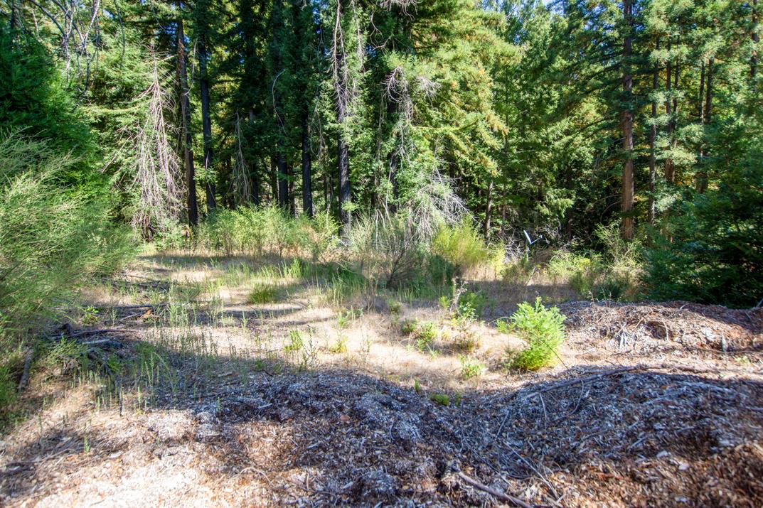 Detail Gallery Image 6 of 28 For 19145 Big Basin Way, Boulder Creek,  CA 95006 - – Beds | – Baths