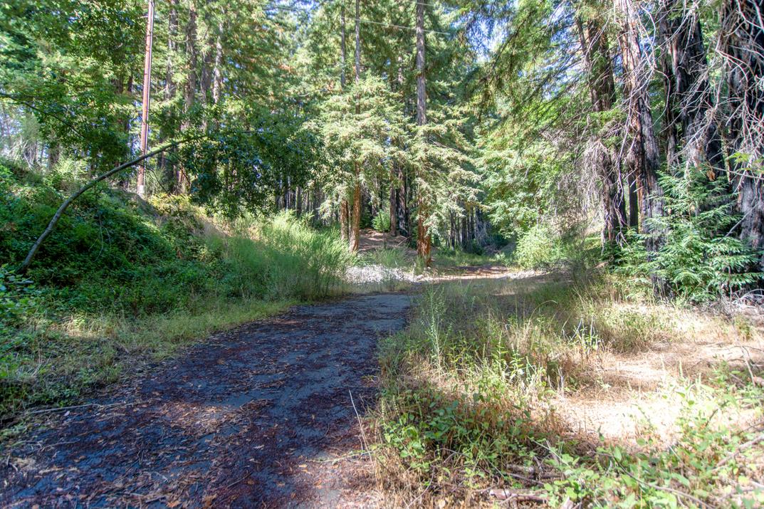 Detail Gallery Image 9 of 28 For 19145 Big Basin Way, Boulder Creek,  CA 95006 - – Beds | – Baths