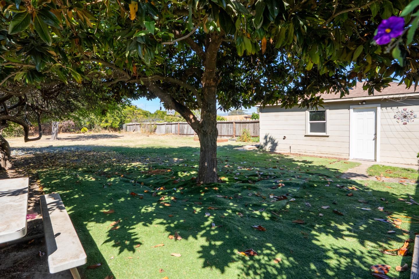 Detail Gallery Image 15 of 18 For 38 Clifford Ave, Watsonville,  CA 95076 - 3 Beds | 1/1 Baths