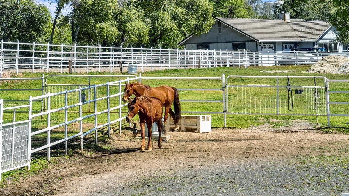 Detail Gallery Image 54 of 76 For 20944 Woodside Way, Groveland,  CA 95321 - 3 Beds | 2 Baths
