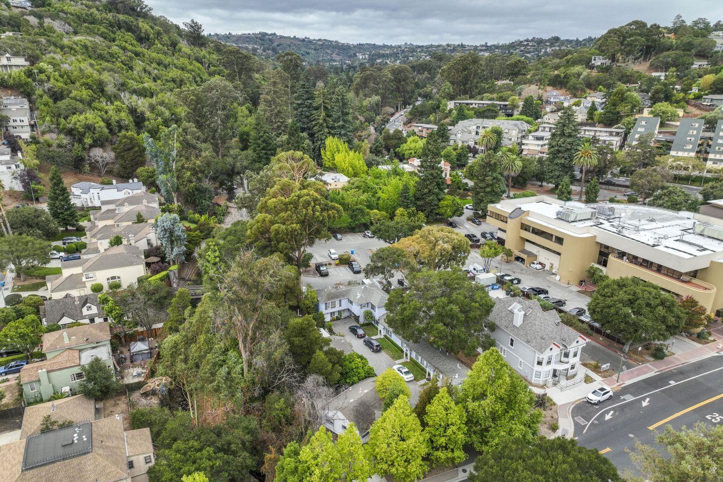 Detail Gallery Image 15 of 23 For 1220 Sixth Ave, Belmont,  CA 94002 - – Beds | – Baths