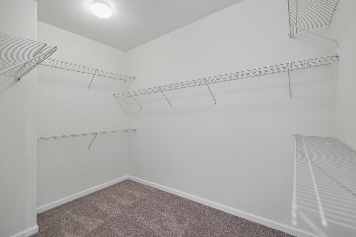 Detail Gallery Image 54 of 66 For 2342 Winchester Loop, Discovery Bay,  CA 94505 - 4 Beds | 3 Baths