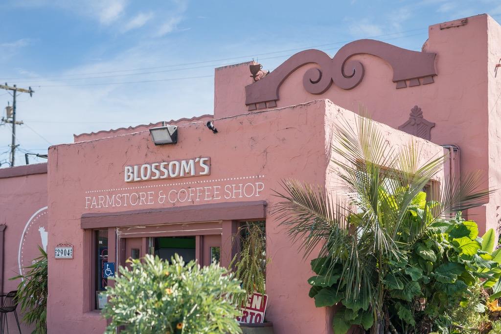 Detail Gallery Image 44 of 47 For 490 Corralitos Rd, Watsonville,  CA 95076 - 3 Beds | 2/1 Baths