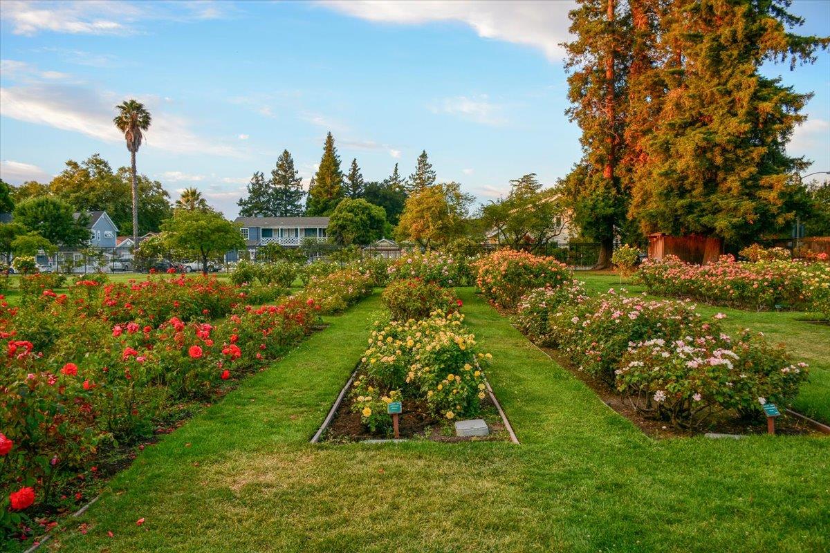 Detail Gallery Image 37 of 42 For 1536 Shasta Ave, San Jose,  CA 95126 - 3 Beds | 2 Baths