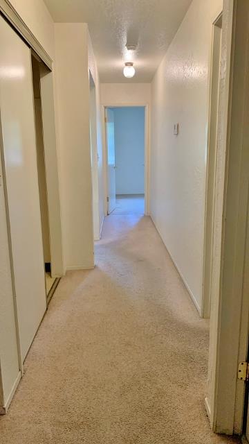 Detail Gallery Image 12 of 19 For 1601 Sunnyslope Rd, Hollister,  CA 95023 - – Beds | – Baths