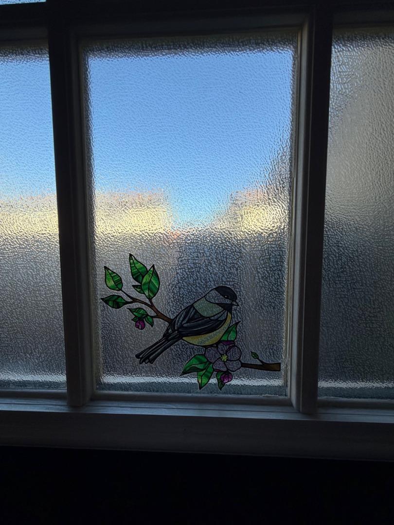 Detail Gallery Image 14 of 28 For 1015 Warburton Ave, Santa Clara,  CA 95050 - 3 Beds | 2/1 Baths