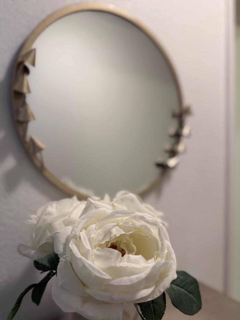 Detail Gallery Image 23 of 28 For 1015 Warburton Ave, Santa Clara,  CA 95050 - 3 Beds | 2/1 Baths