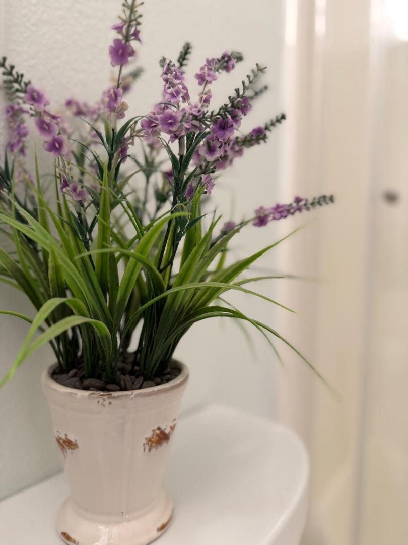 Detail Gallery Image 28 of 28 For 1015 Warburton Ave, Santa Clara,  CA 95050 - 3 Beds | 2/1 Baths