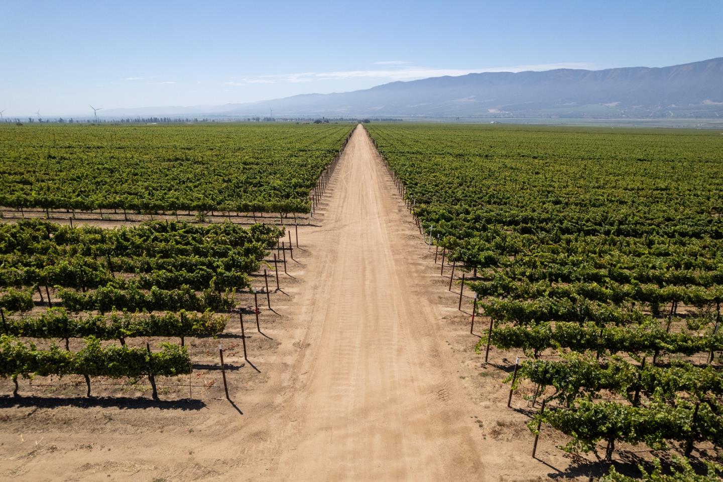 Detail Gallery Image 3 of 10 For 32498 Gloria Rd, Gonzales,  CA 93926 - – Beds | – Baths