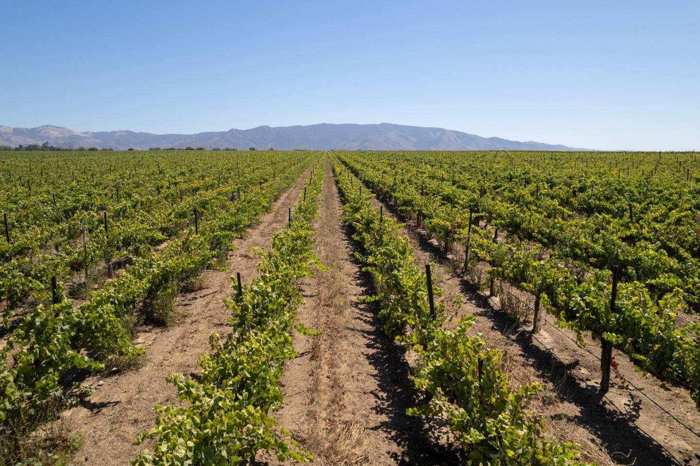 Detail Gallery Image 4 of 10 For 32498 Gloria Rd, Gonzales,  CA 93926 - – Beds | – Baths