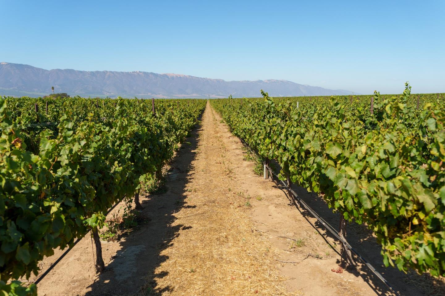 Detail Gallery Image 7 of 10 For 32498 Gloria Rd, Gonzales,  CA 93926 - – Beds | – Baths