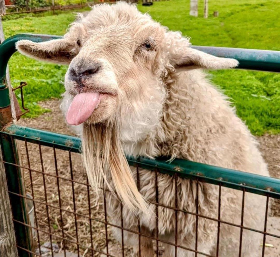 236 Corkwood St, Vallejo, CA, 94591