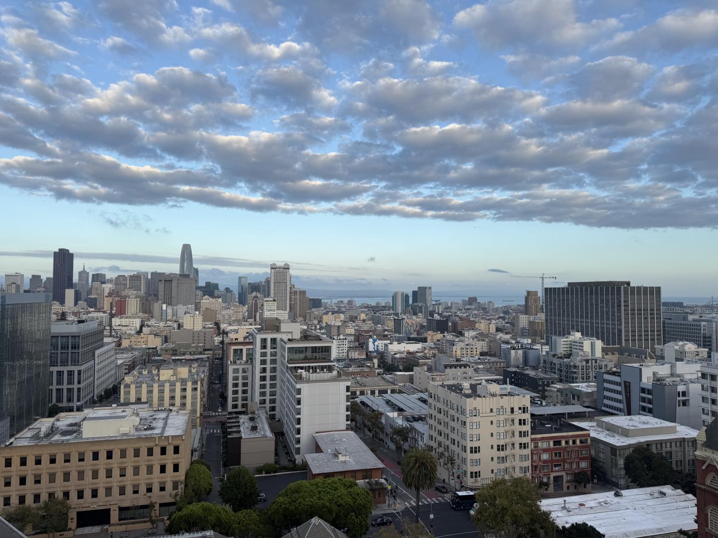 Detail Gallery Image 57 of 58 For 1200 Gough St 14d,  San Francisco,  CA 94109 - 1 Beds | 1 Baths