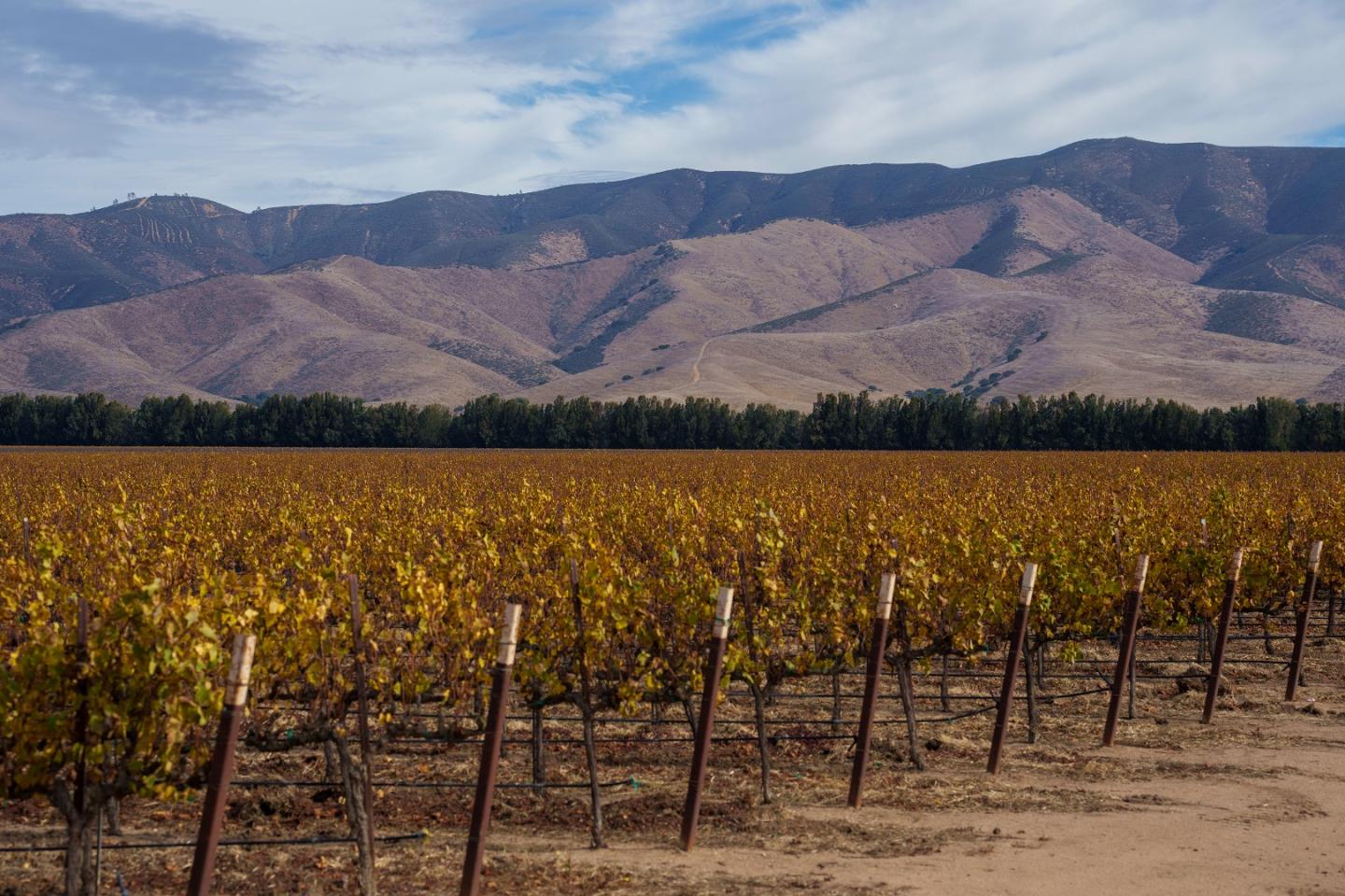 16475 Blackie Road, Salinas, CA, 93907