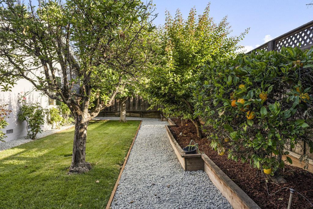 Detail Gallery Image 56 of 78 For 1189 Boynton Ave, San Jose,  CA 95117 - 4 Beds | 2 Baths