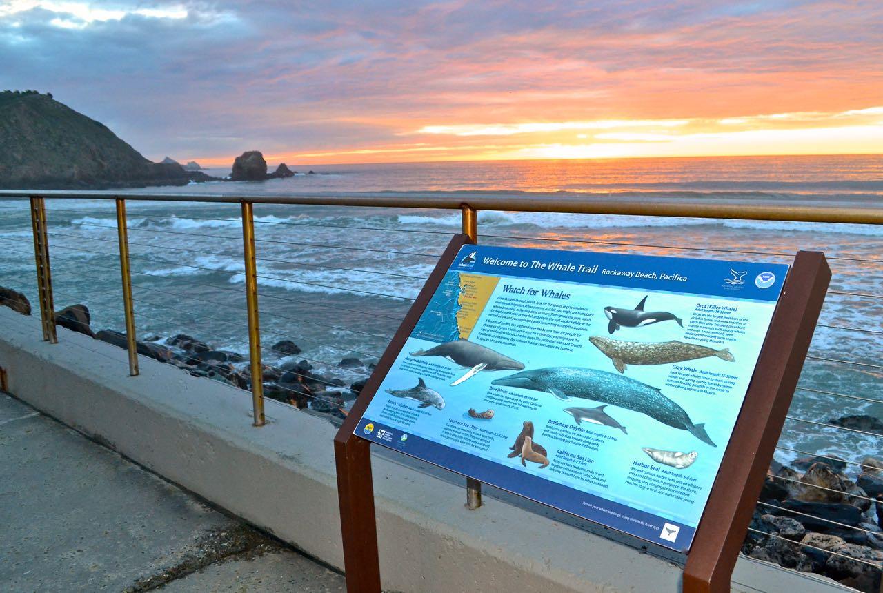 Detail Gallery Image 58 of 78 For 1042 Yosemite Dr, Pacifica,  CA 94044 - 4 Beds | 4 Baths