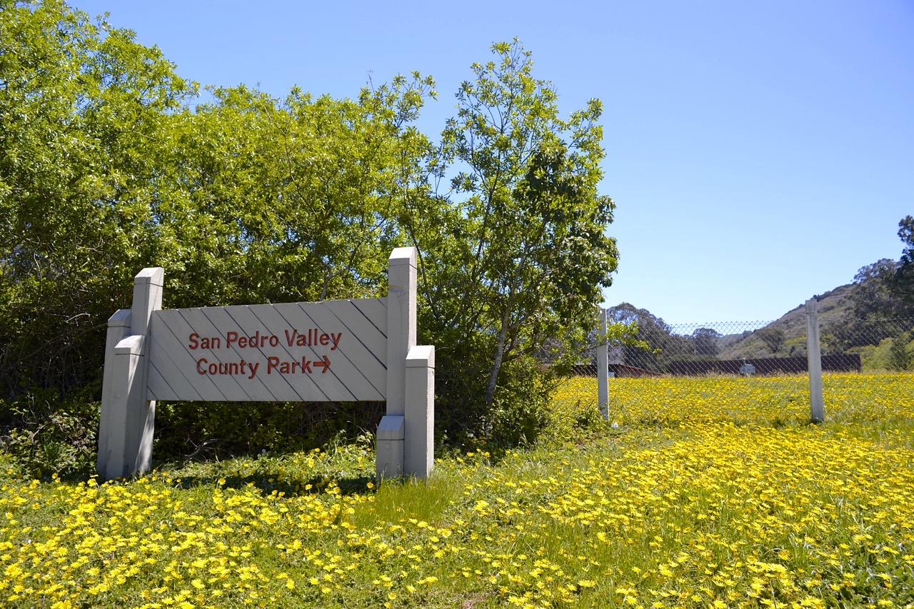 Detail Gallery Image 60 of 78 For 1042 Yosemite Dr, Pacifica,  CA 94044 - 4 Beds | 4 Baths