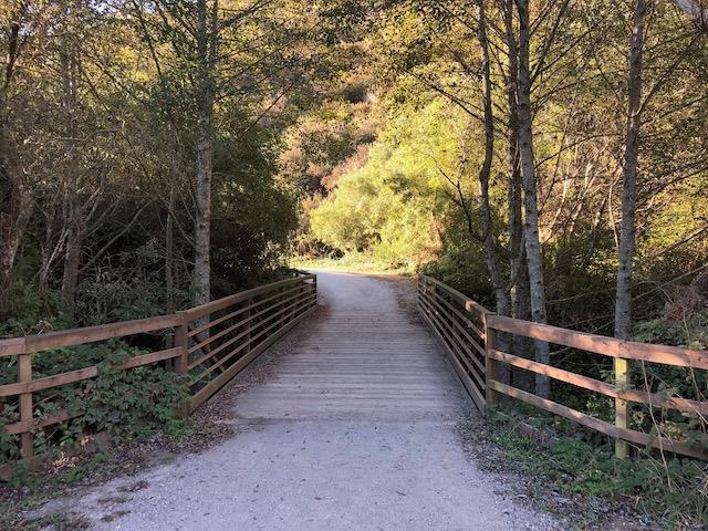 Detail Gallery Image 61 of 78 For 1042 Yosemite Dr, Pacifica,  CA 94044 - 4 Beds | 4 Baths