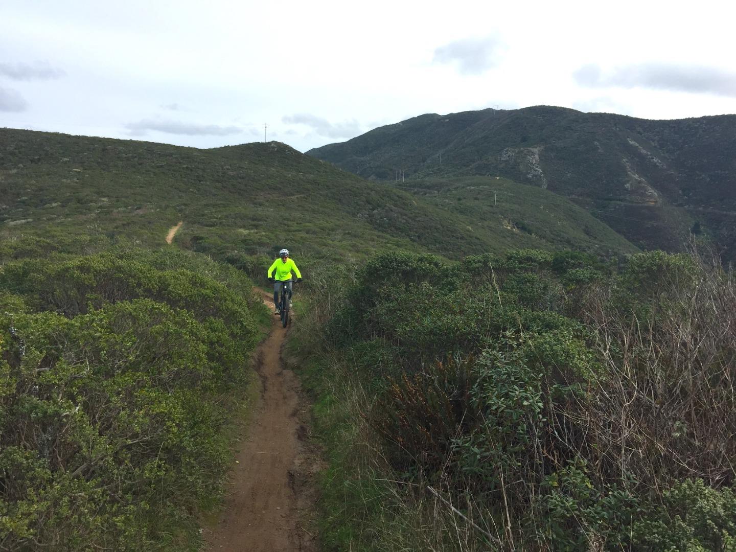 Detail Gallery Image 66 of 78 For 1042 Yosemite Dr, Pacifica,  CA 94044 - 4 Beds | 4 Baths