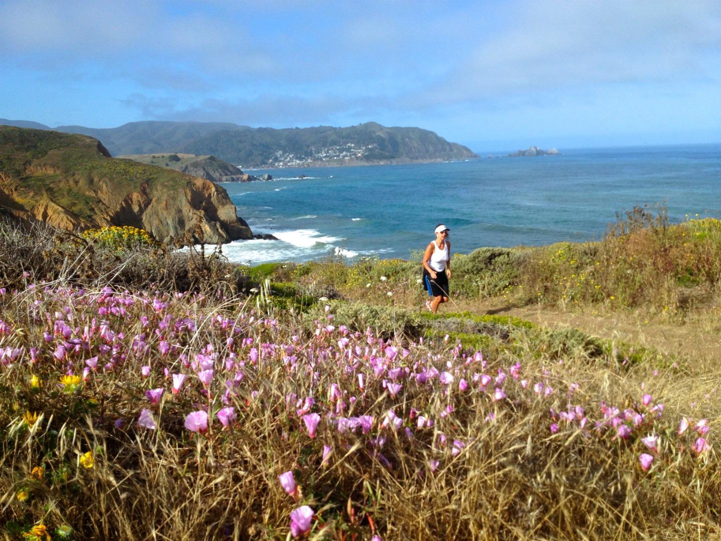 Detail Gallery Image 69 of 78 For 1042 Yosemite Dr, Pacifica,  CA 94044 - 4 Beds | 4 Baths