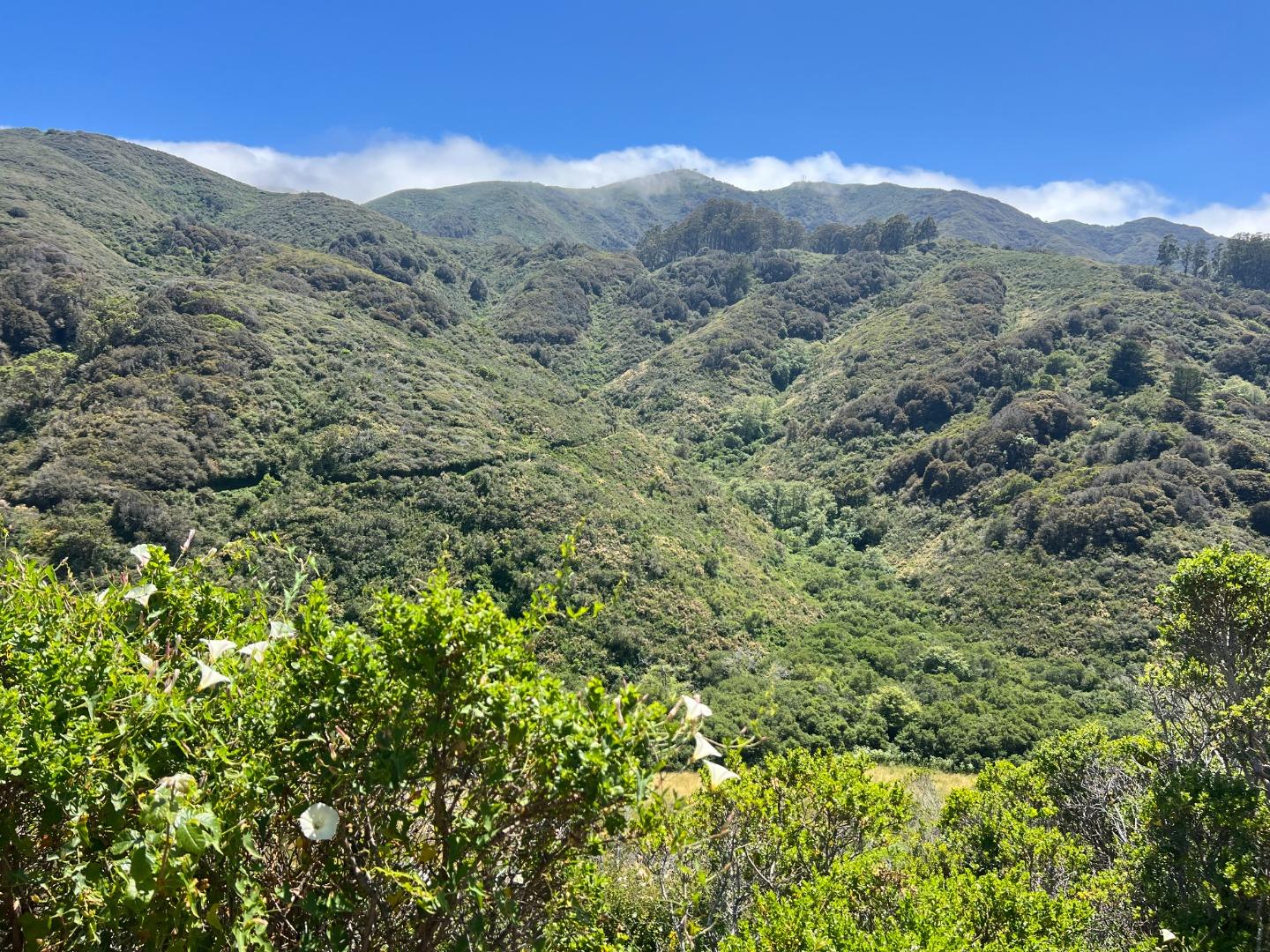 Detail Gallery Image 74 of 78 For 1042 Yosemite Dr, Pacifica,  CA 94044 - 4 Beds | 4 Baths