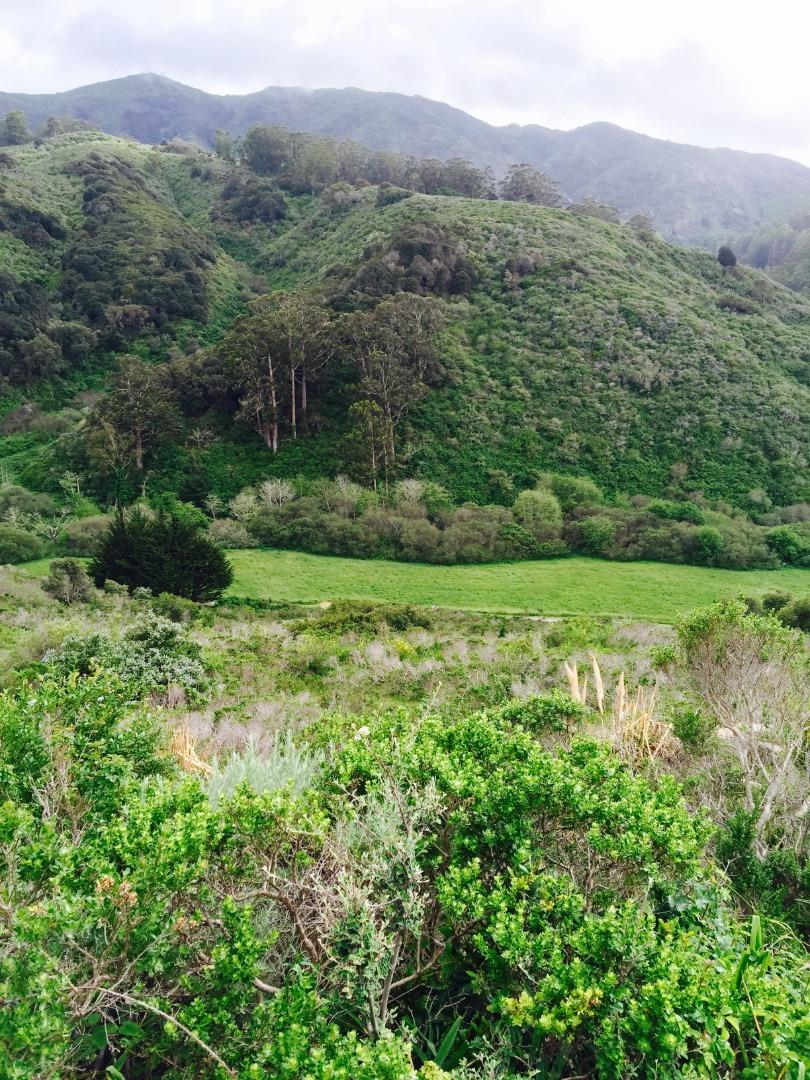 Detail Gallery Image 77 of 78 For 1042 Yosemite Dr, Pacifica,  CA 94044 - 4 Beds | 4 Baths