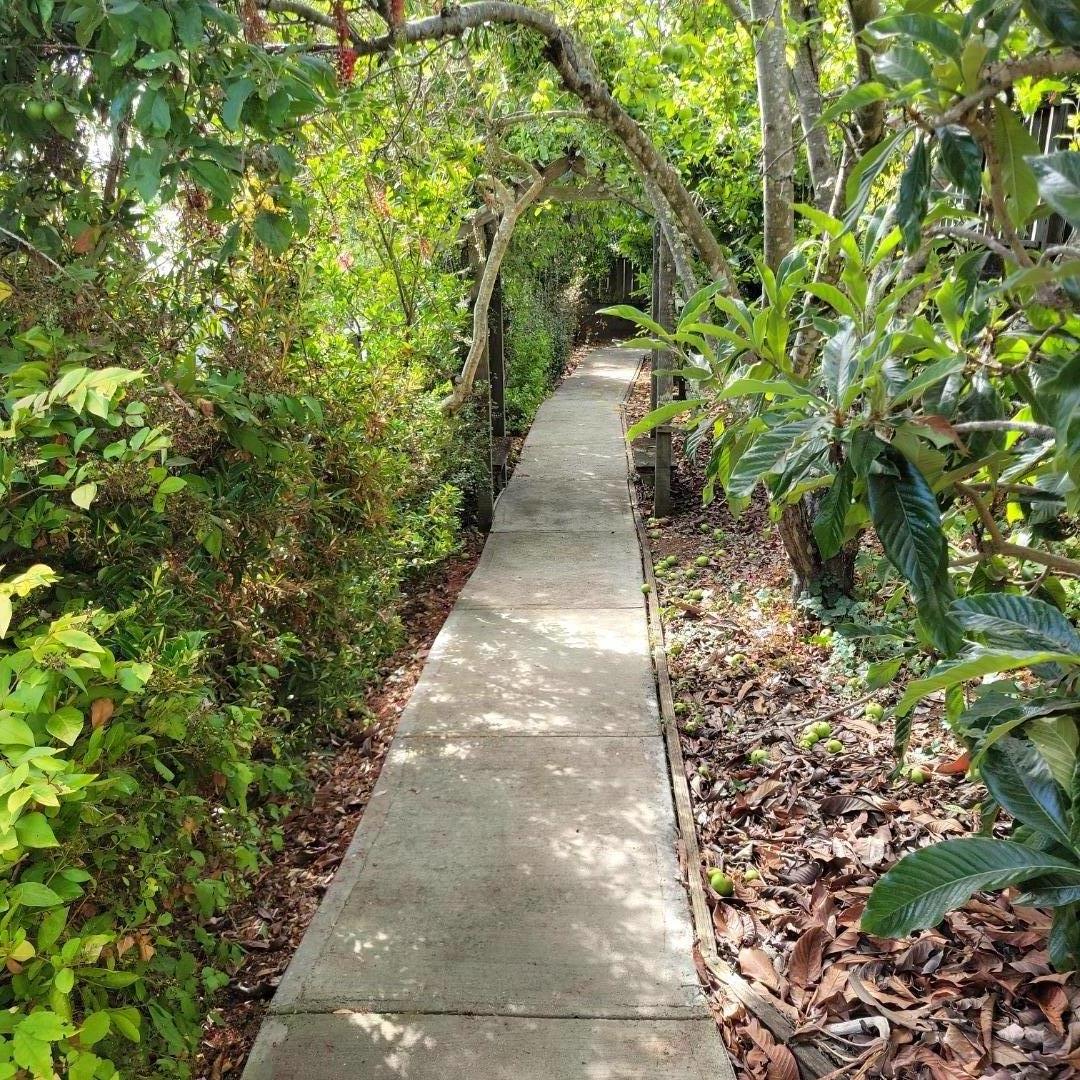 Detail Gallery Image 37 of 47 For 3360 Merrill Rd, Aptos,  CA 95003 - 3 Beds | 1/1 Baths