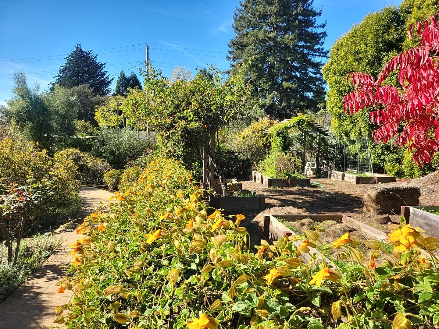 Detail Gallery Image 39 of 47 For 3360 Merrill Rd, Aptos,  CA 95003 - 3 Beds | 1/1 Baths