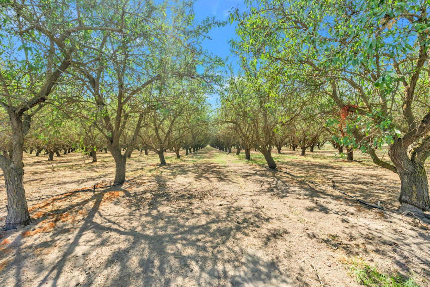 Detail Gallery Image 38 of 64 For 5412 Wilkins Ave, Oakdale,  CA 95361 - 3 Beds | 2 Baths