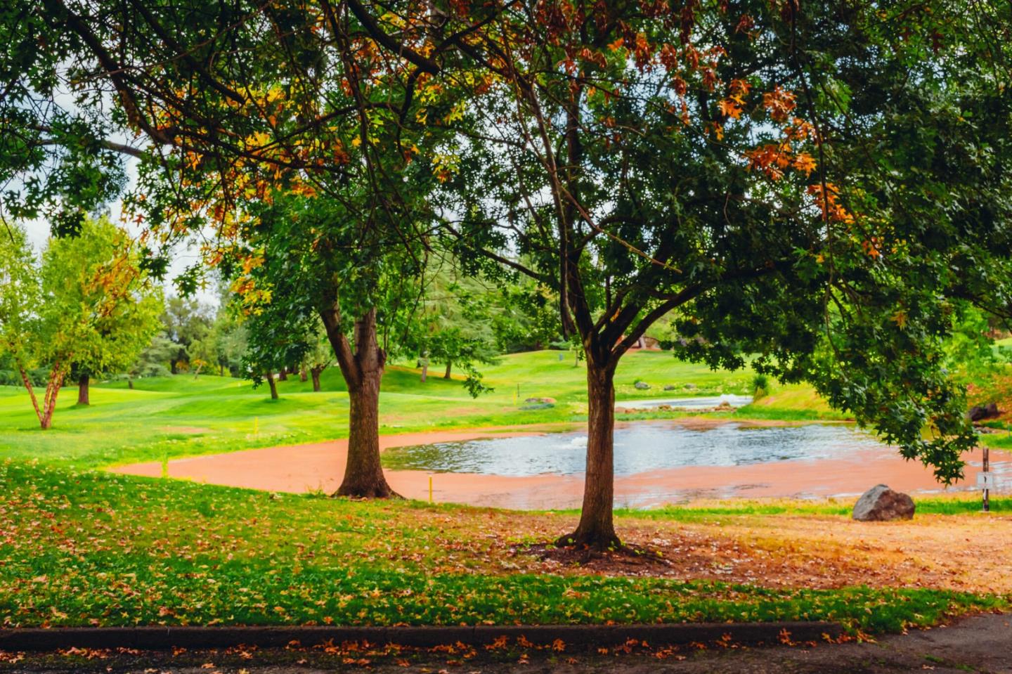 Detail Gallery Image 52 of 52 For 15147 Celebrar St, Sloughhouse,  CA 95683 - 3 Beds | 2 Baths