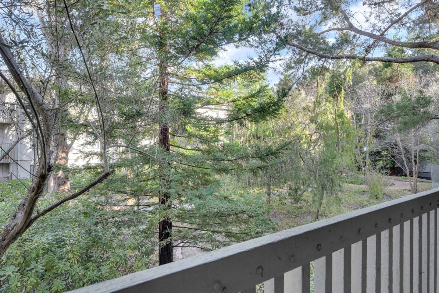 Detail Gallery Image 16 of 43 For 5202 Shelter Creek Ln, San Bruno,  CA 94066 - 1 Beds | 1 Baths