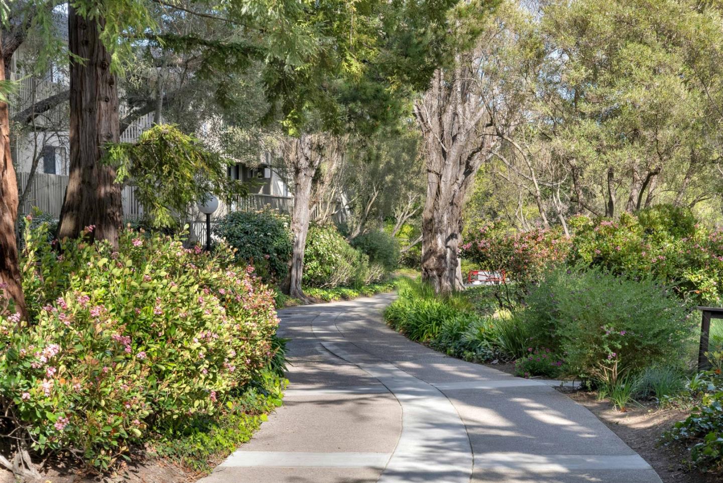 Detail Gallery Image 39 of 43 For 5202 Shelter Creek Ln, San Bruno,  CA 94066 - 1 Beds | 1 Baths