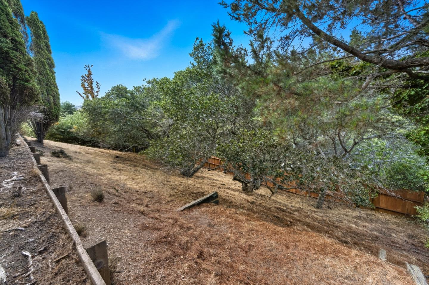 Detail Gallery Image 50 of 51 For 1775 Terrace Dr, Belmont,  CA 94002 - 4 Beds | 3 Baths