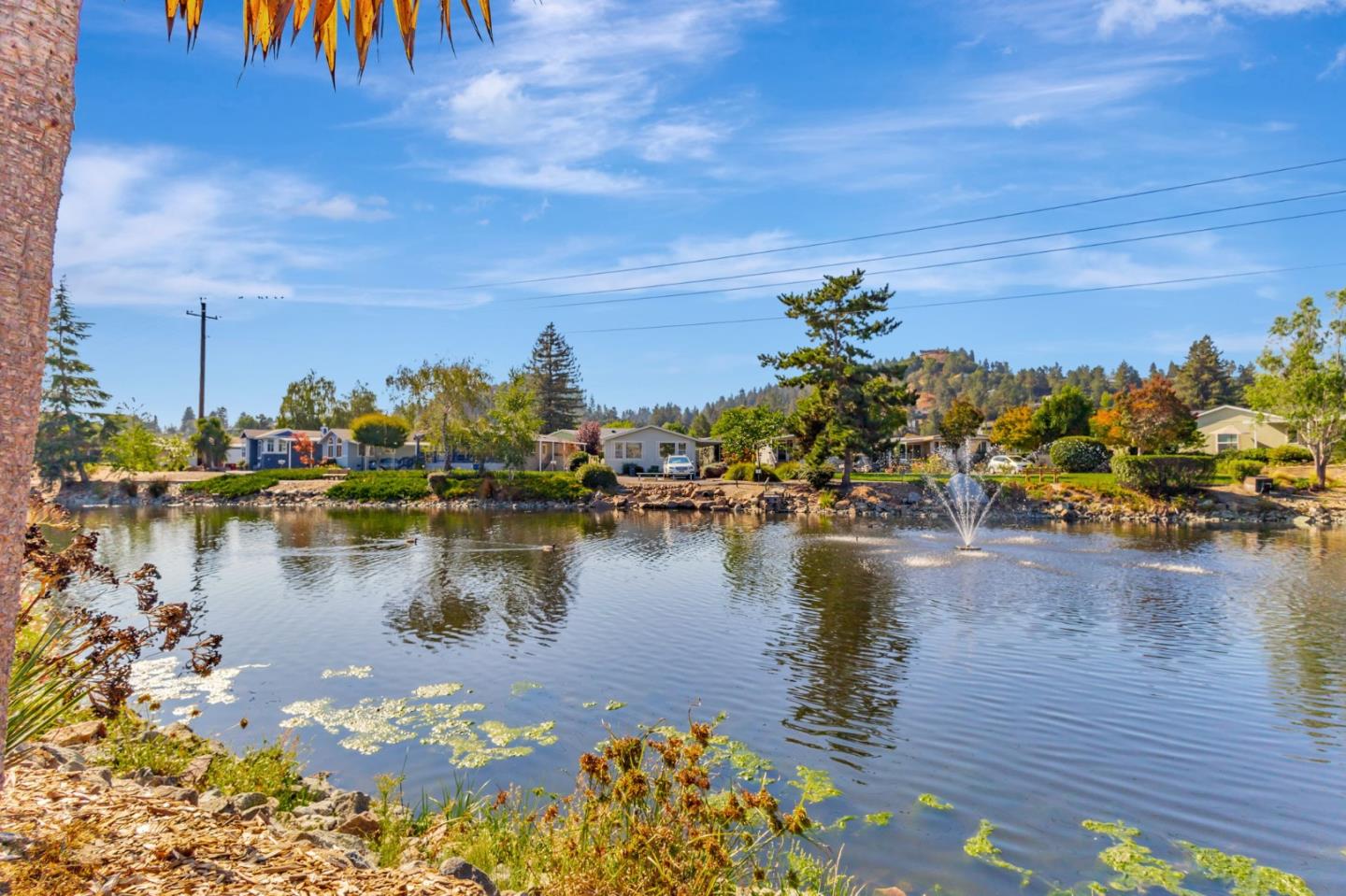 Detail Gallery Image 22 of 38 For 225 Mount Hermon #81 Rd #81,  Scotts Valley,  CA 95066 - 2 Beds | 2 Baths