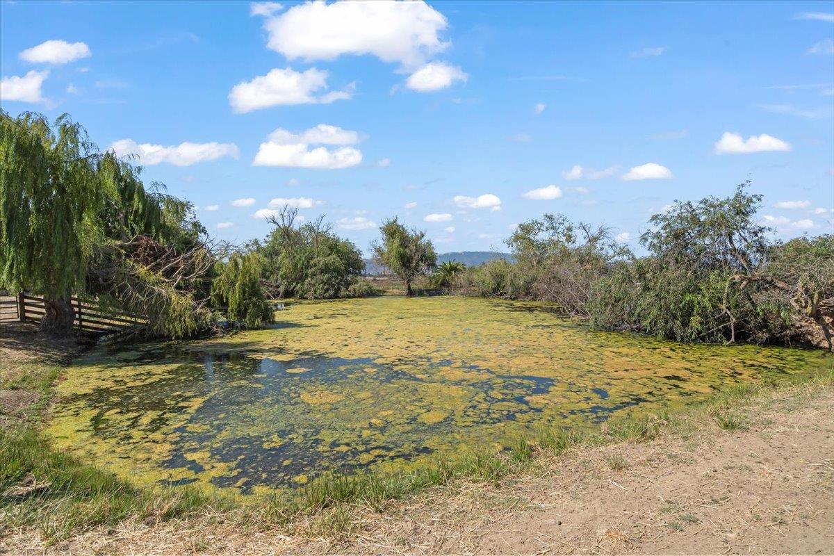 Detail Gallery Image 50 of 51 For 2675 Pacheco Pass Hwy, Gilroy,  CA 95020 - – Beds | – Baths