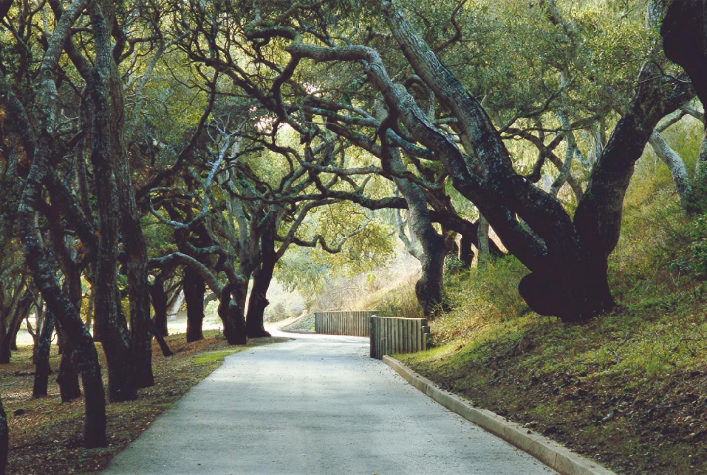 Detail Gallery Image 12 of 13 For 25825 via Malpaso (Lot 68), Carmel,  CA 93923 - – Beds | – Baths